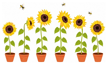 Gardening Dates