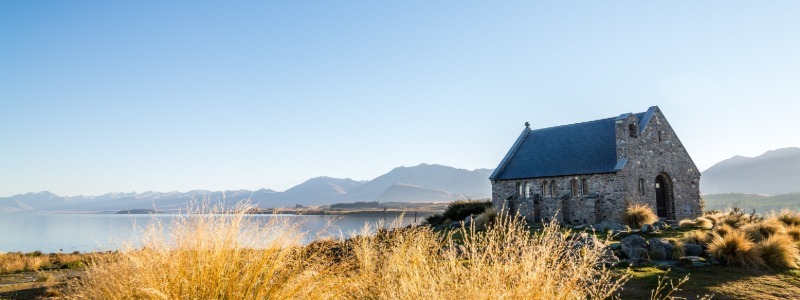 Lessons from the Teacher (Janu